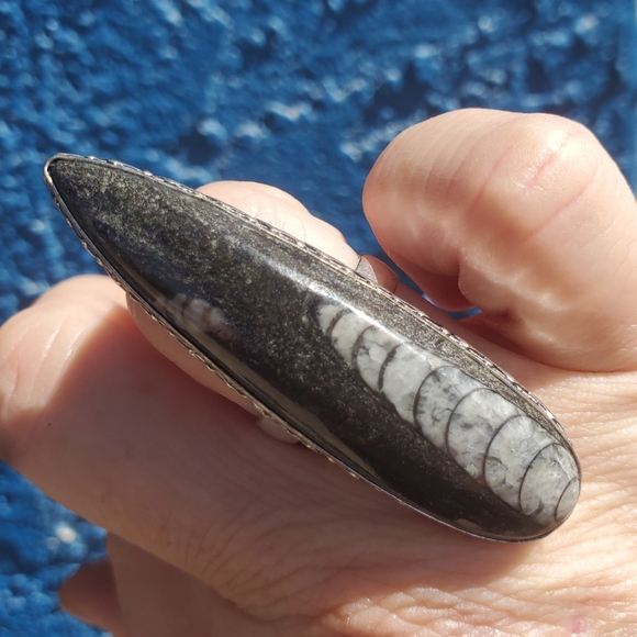 New Oversized Orthoceras Fossil 925 Silver Statement Ring. - Picture 8 of 16